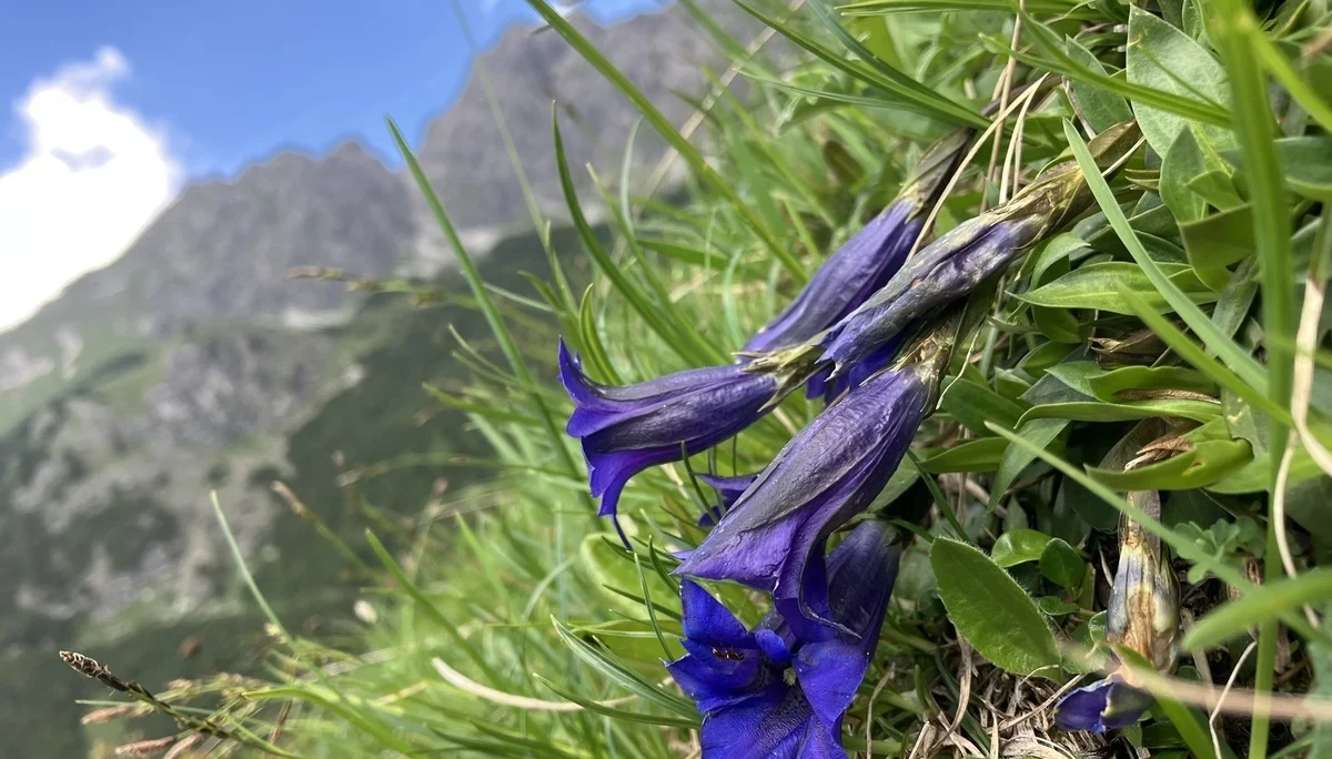 © DAV Fürth; Flotte Fürther Füße