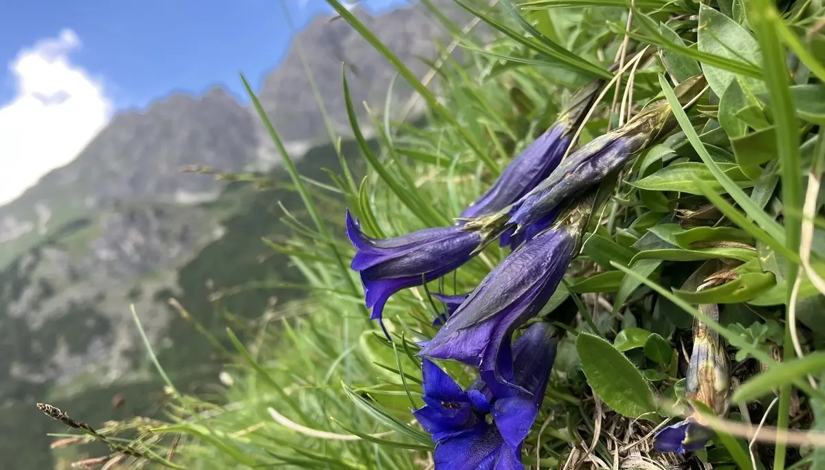 © DAV Fürth; Flotte Fürther Füße