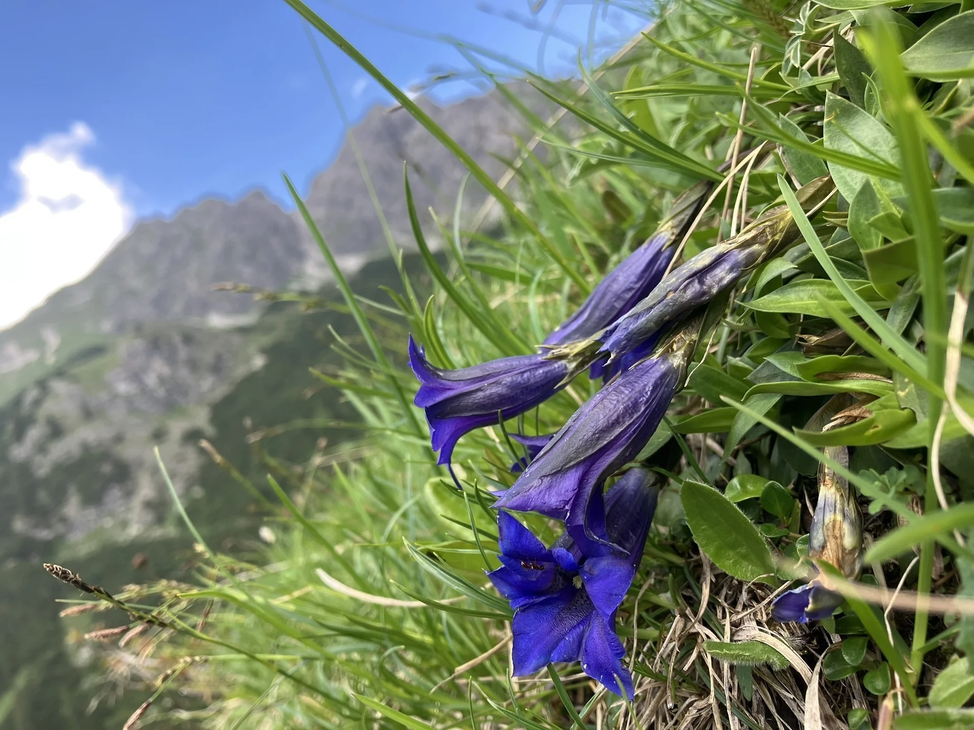 © DAV Fürth; Flotte Fürther Füße