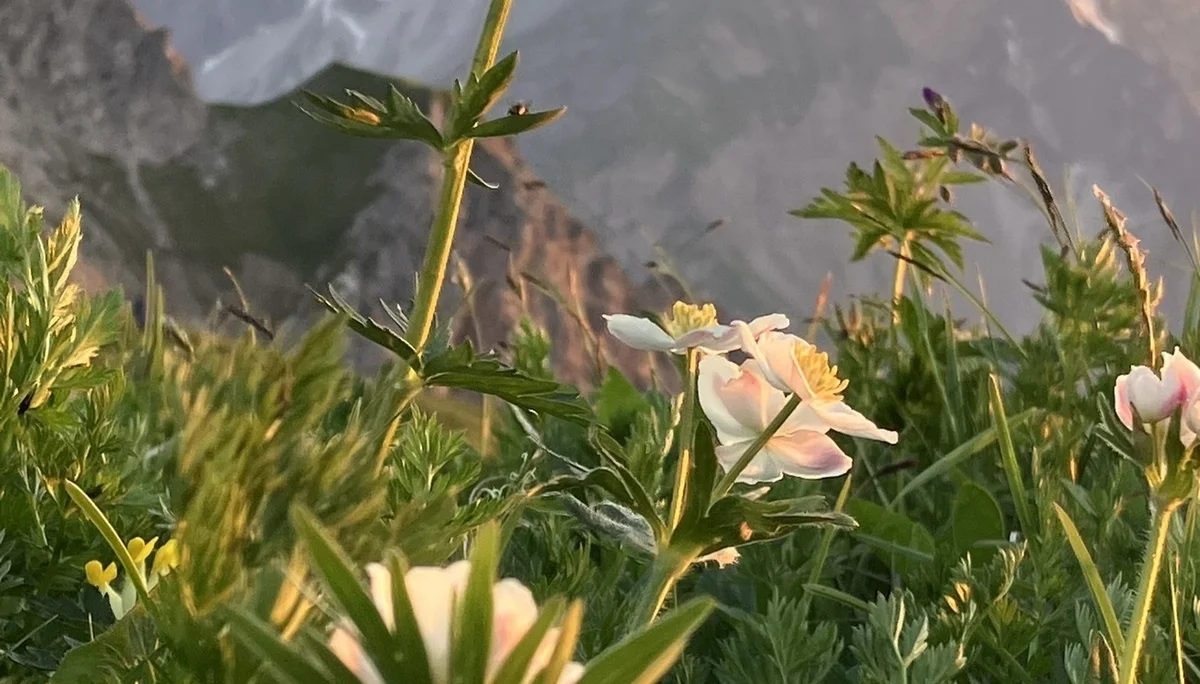 © DAV Fürth; Flotte Fürther Füße