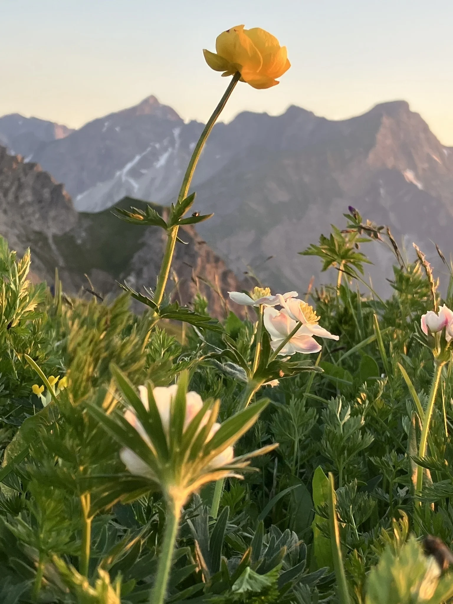 © DAV Fürth; Flotte Fürther Füße