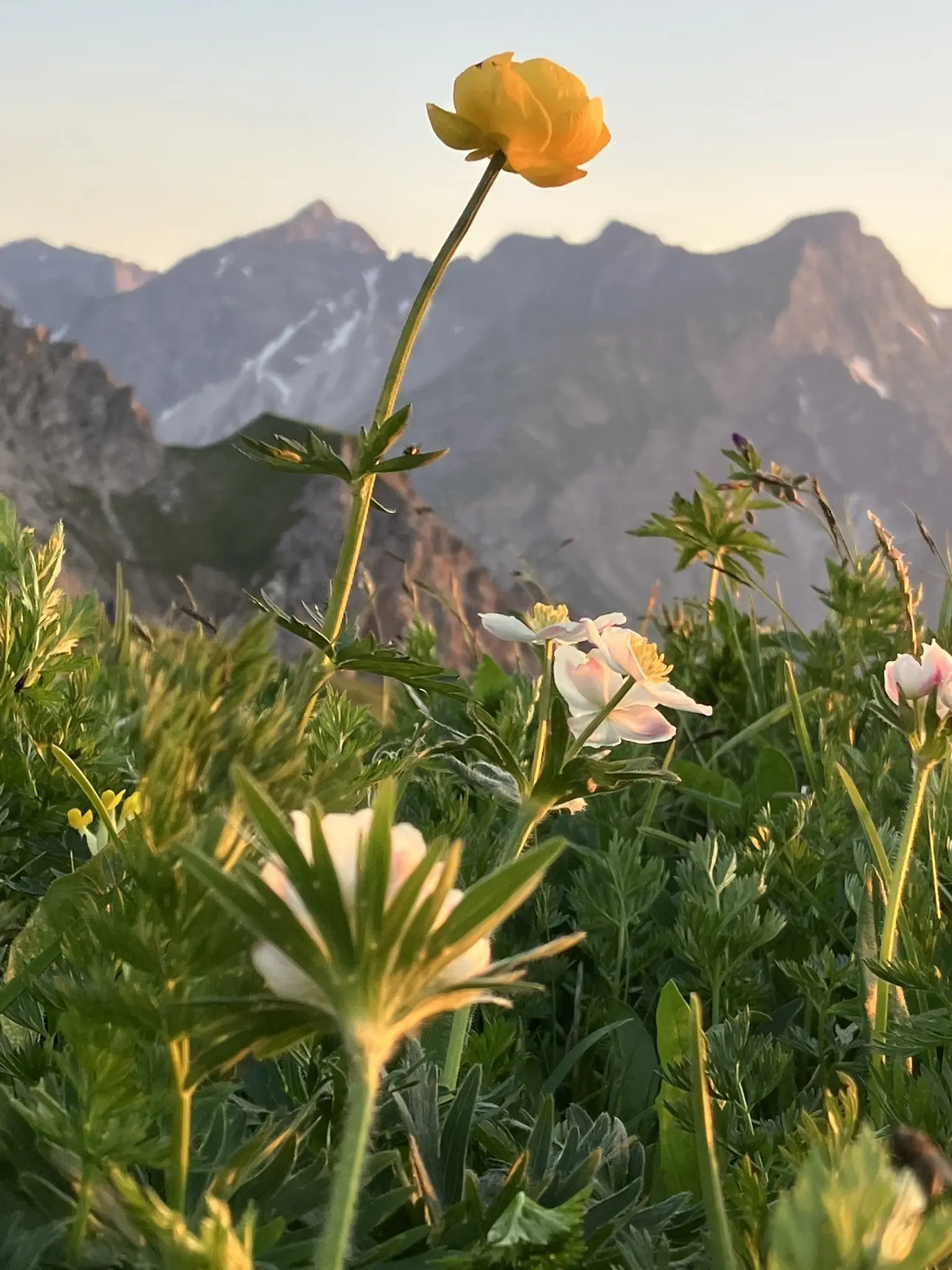 © DAV Fürth; Flotte Fürther Füße