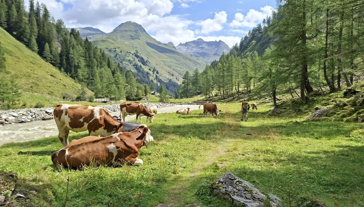 Im Gschlösstal | © DAV Fürth; Flotte Fürther Füße