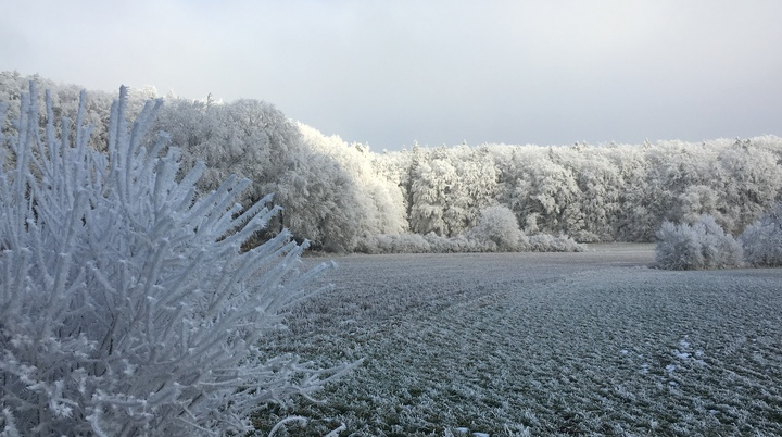 durch wunderschön verzuckerte landschaft | © DAV Fürth; FFF