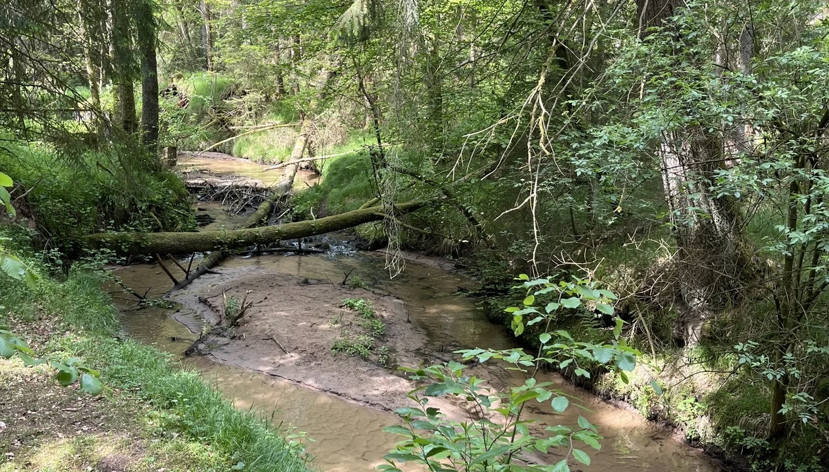 © DAV Fürth, MTB-Gruppe