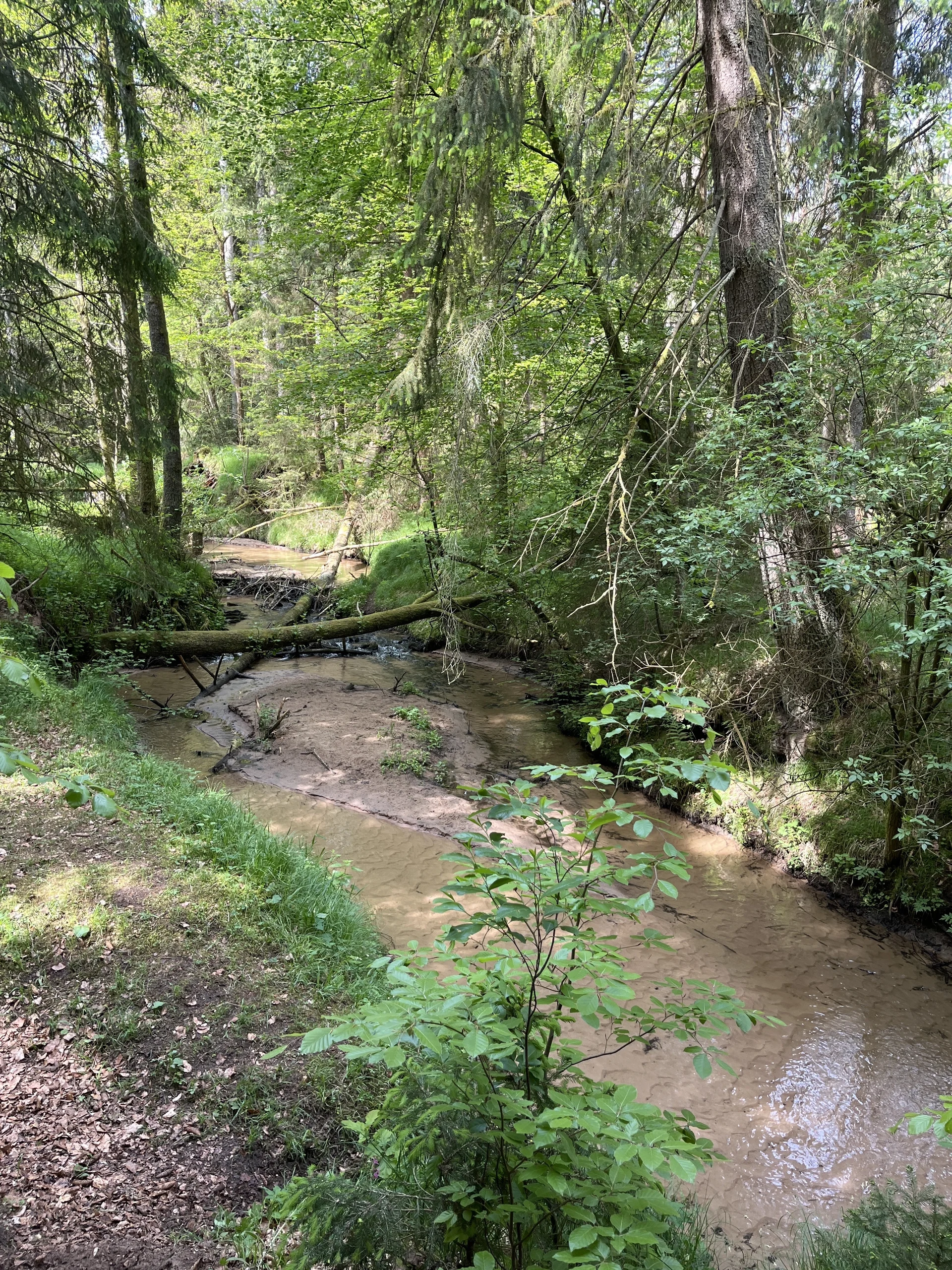 © DAV Fürth, MTB-Gruppe