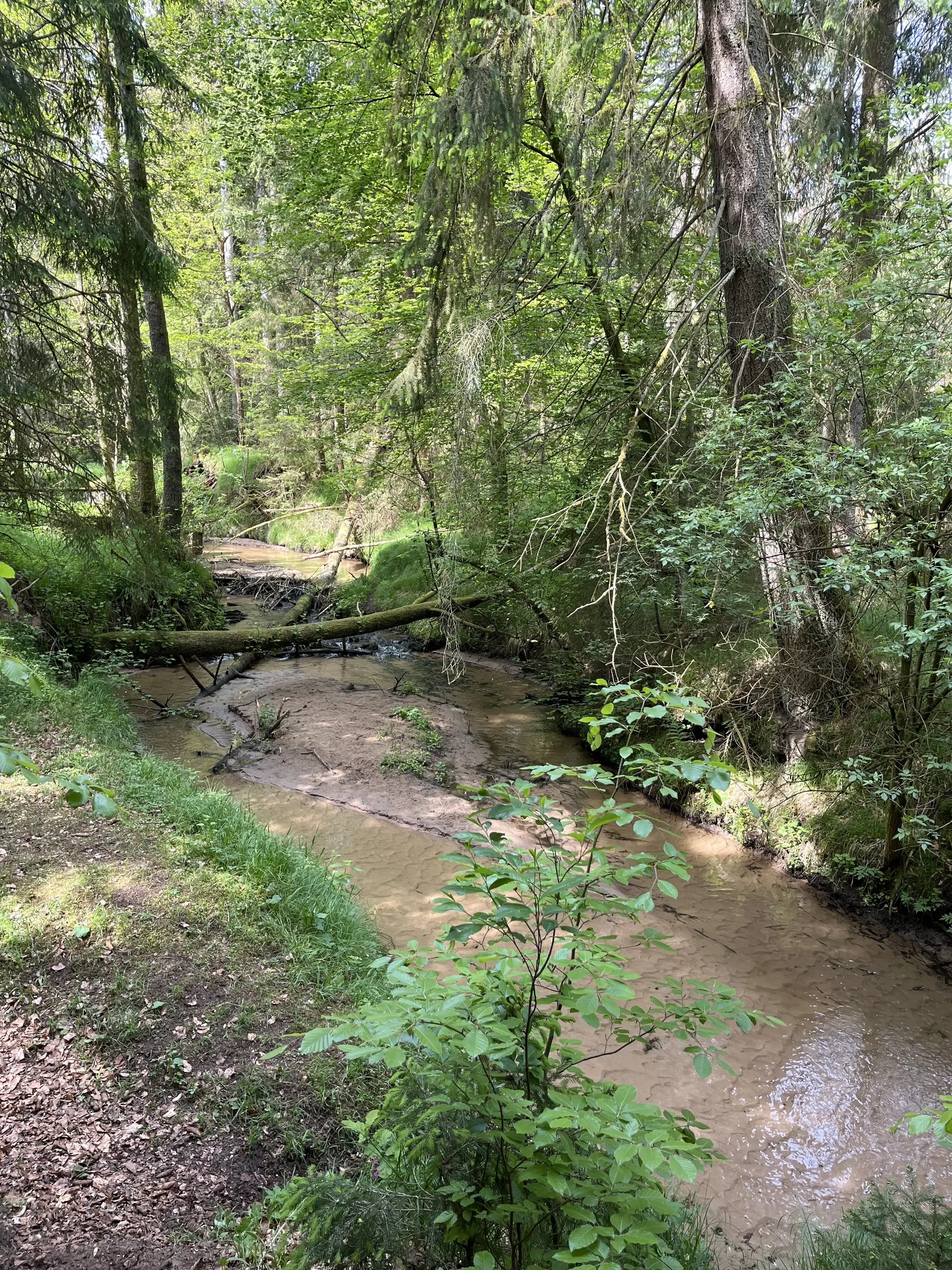 © DAV Fürth, MTB-Gruppe