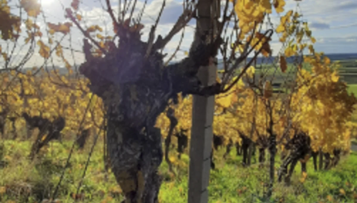 © DAV Fürth; Yoga-Gruppe