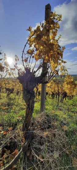 © DAV Fürth; Yoga-Gruppe