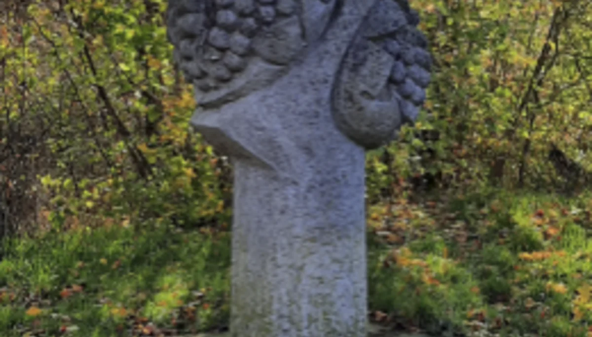 © DAV Fürth; Yoga-Gruppe