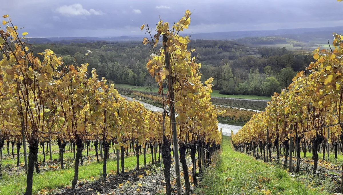 © DAV Fürth; Yoga-Gruppe