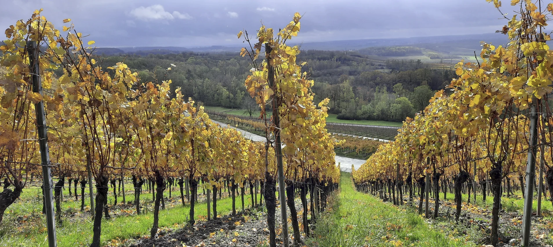 © DAV Fürth; Yoga-Gruppe