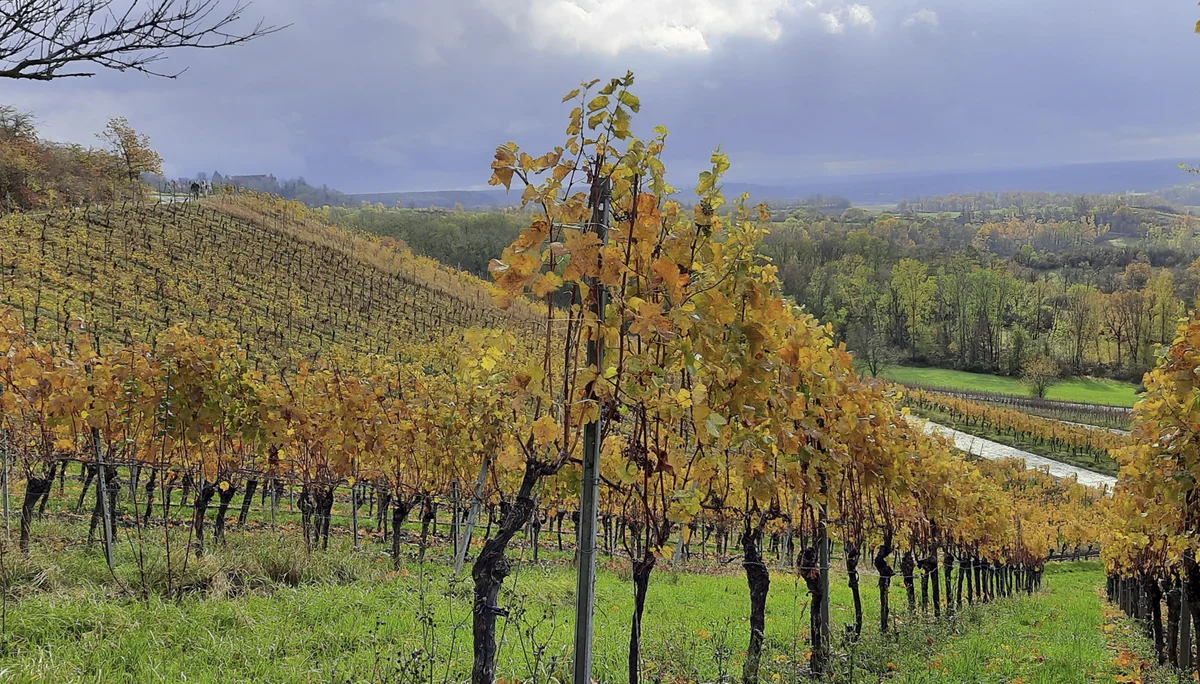 © DAV Fürth; Yoga-Gruppe