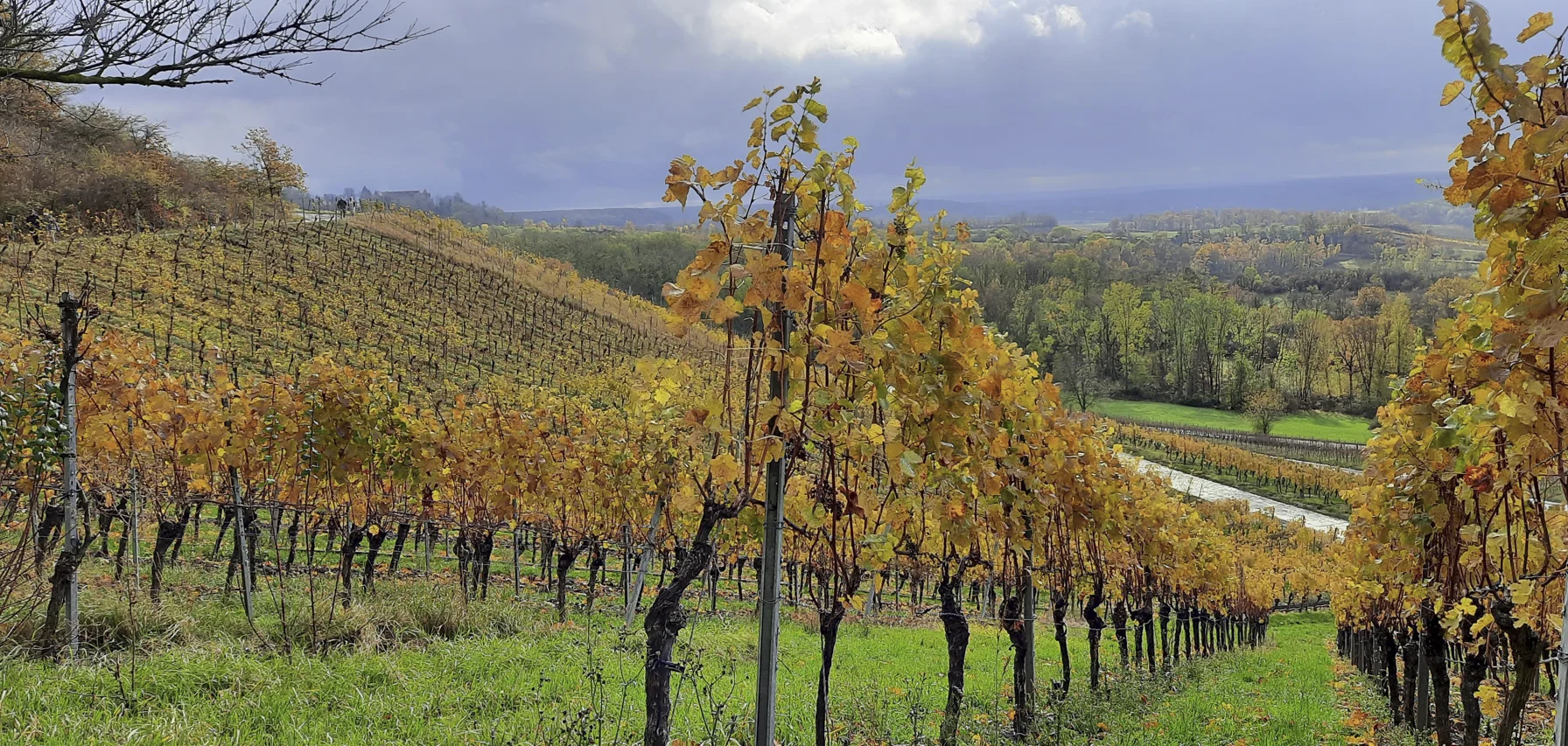 © DAV Fürth; Yoga-Gruppe