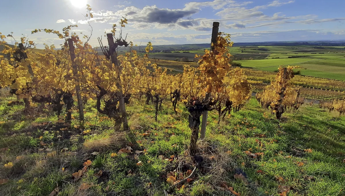 © DAV Fürth; Yoga-Gruppe