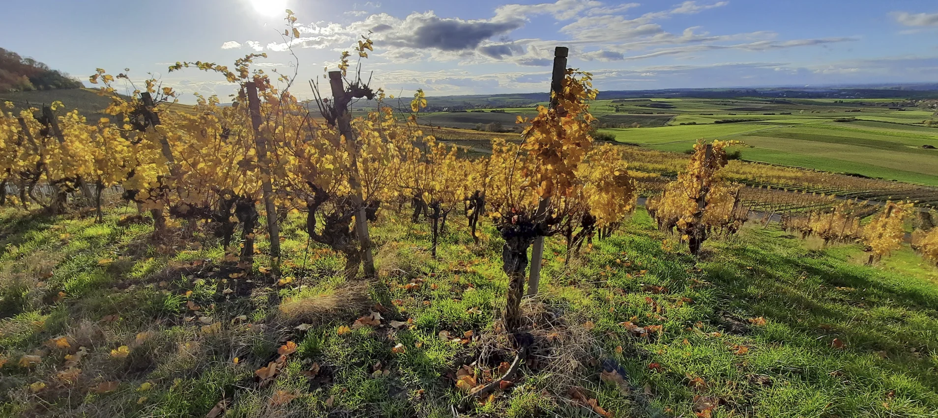© DAV Fürth; Yoga-Gruppe