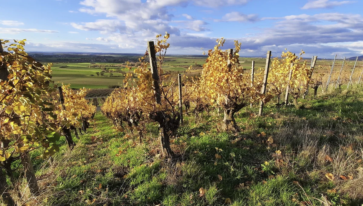 © DAV Fürth; Yoga-Gruppe