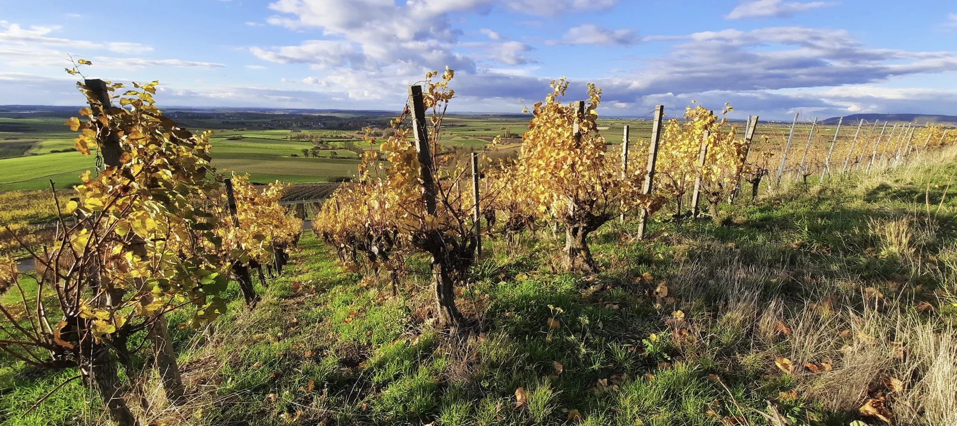 © DAV Fürth; Yoga-Gruppe