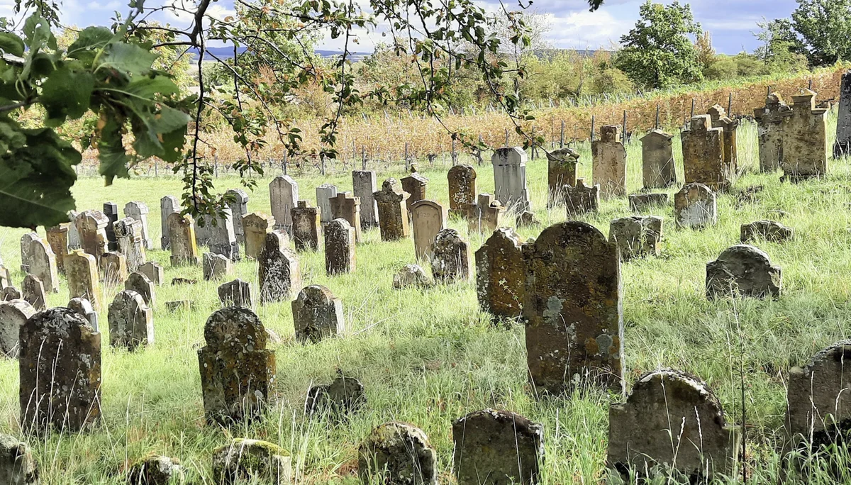 © DAV Fürth; Yoga-Gruppe