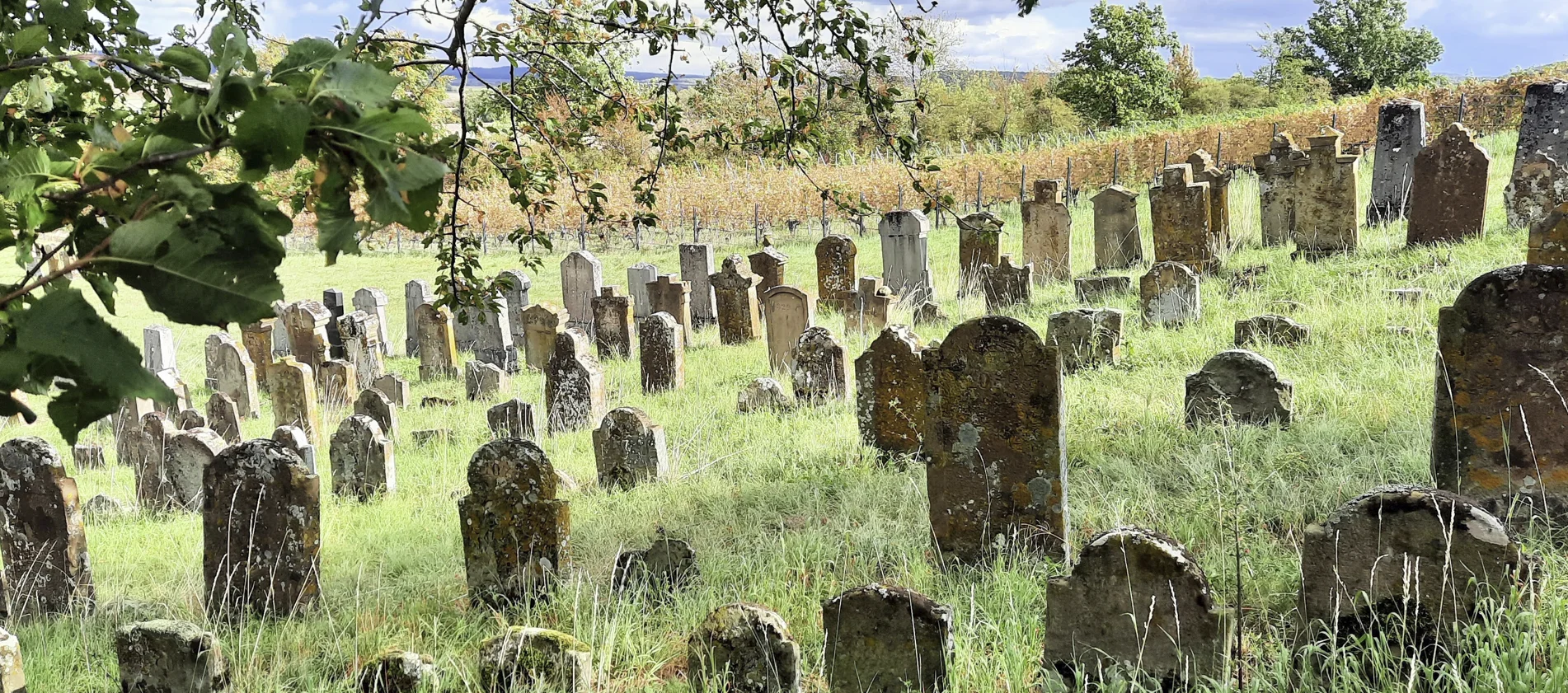 © DAV Fürth; Yoga-Gruppe