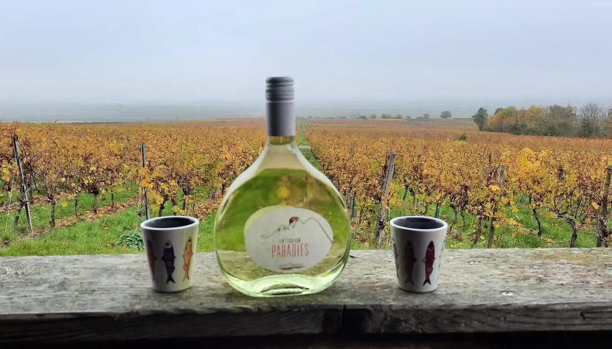 © DAV Yogagruppe; Foto: Heike Stellwag-Flenker