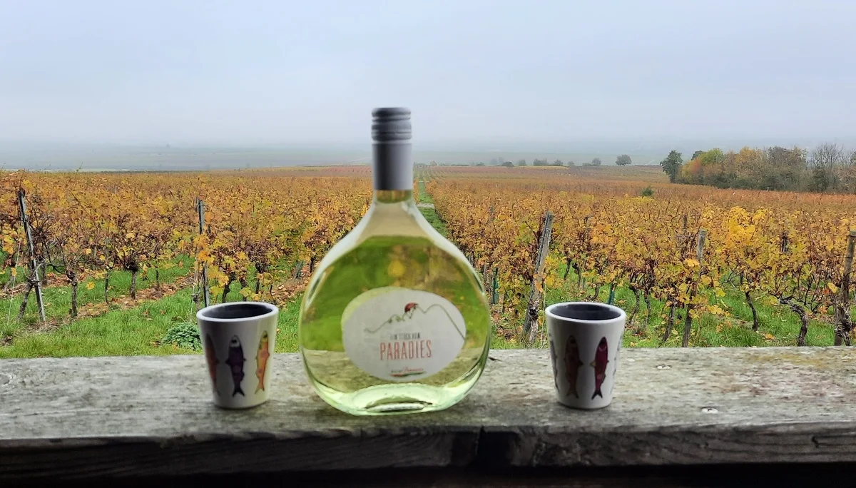 © DAV Yogagruppe; Foto: Heike Stellwag-Flenker