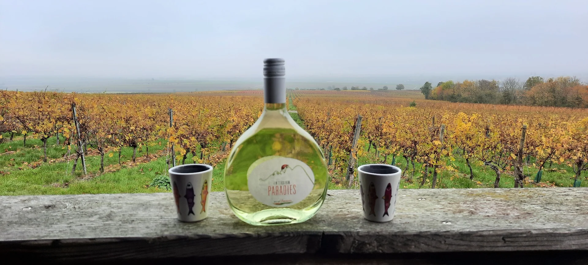 © DAV Yogagruppe; Foto: Heike Stellwag-Flenker