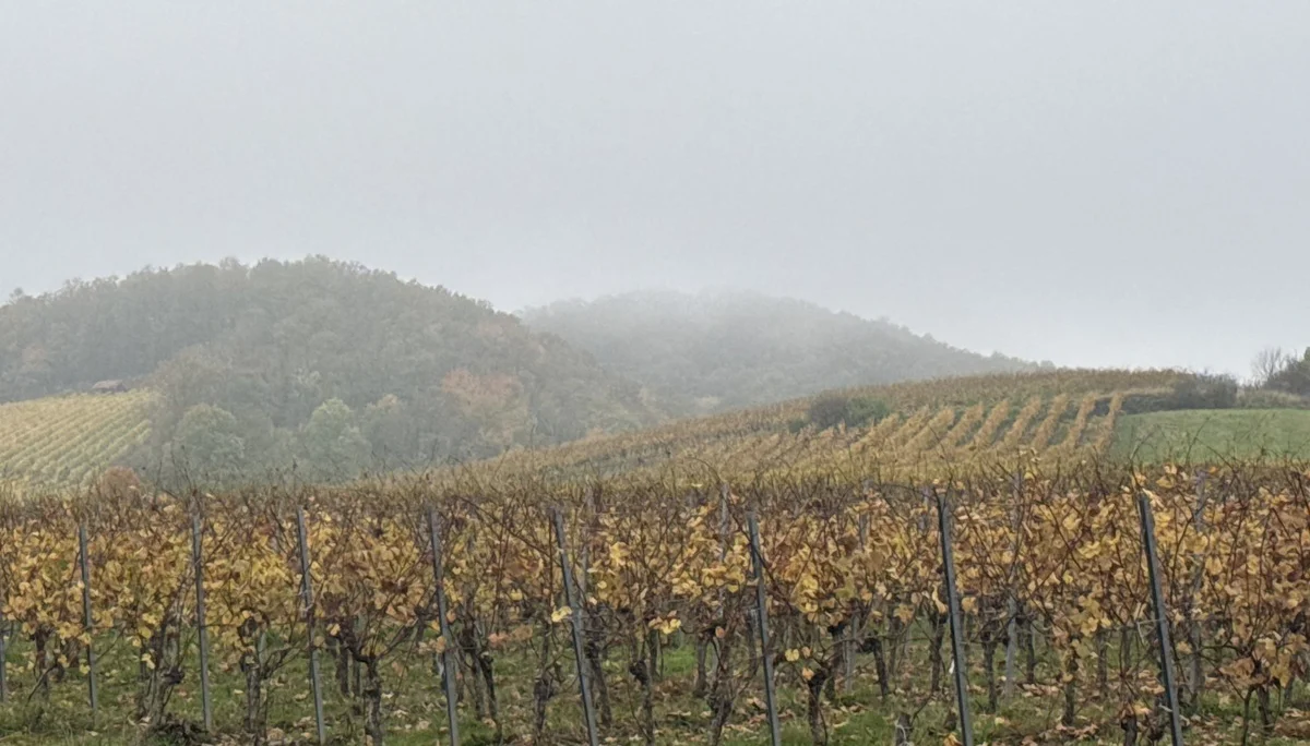 © DAV Yogagruppe; Foto: Burkhard Rott