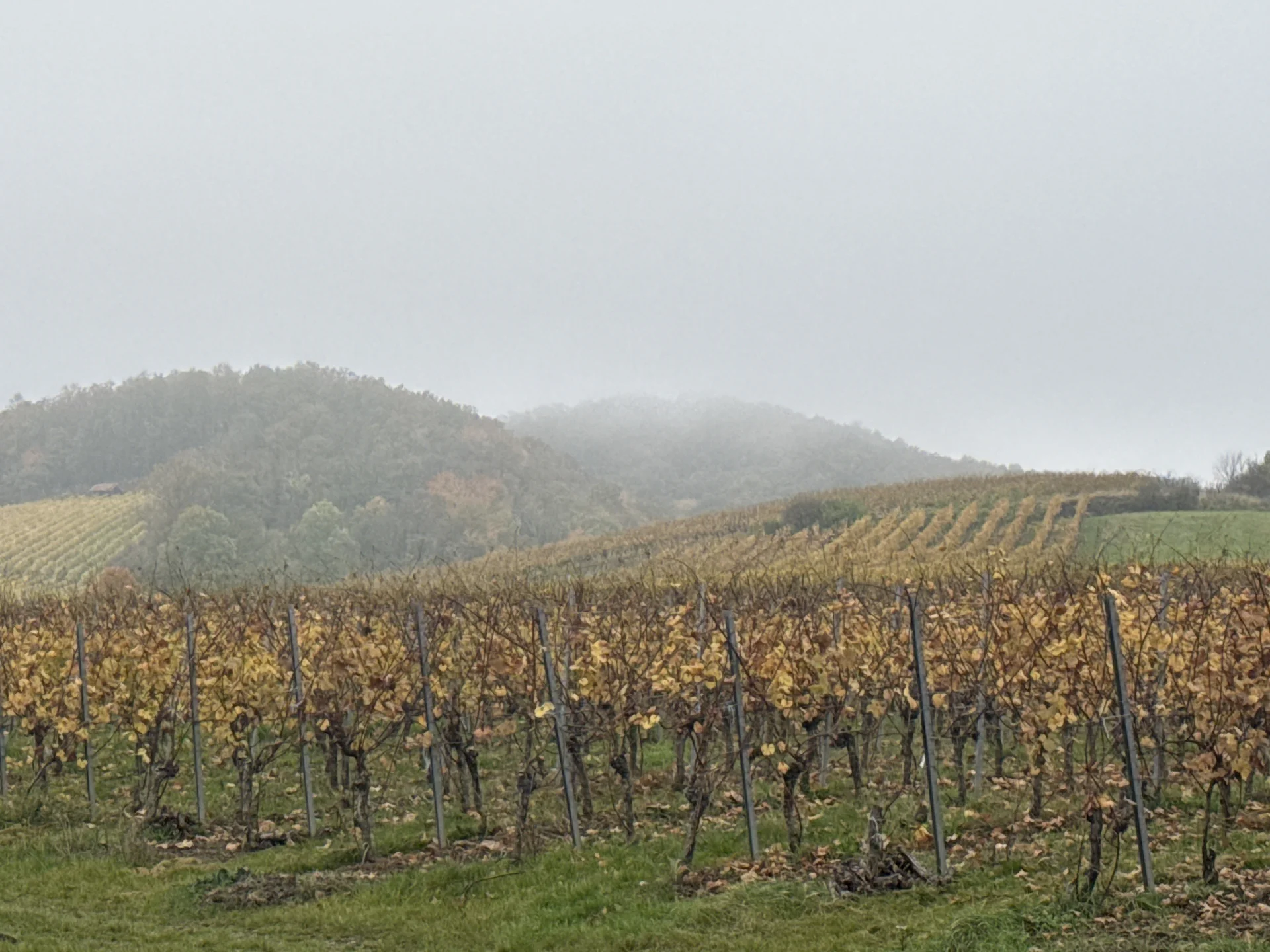 © DAV Yogagruppe; Foto: Burkhard Rott