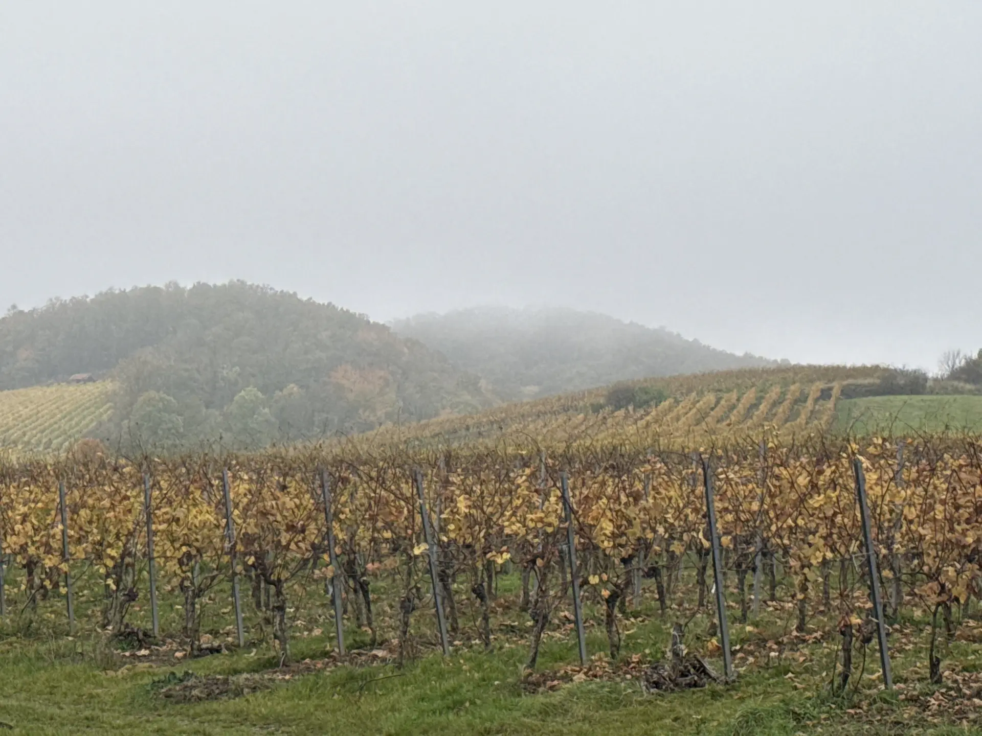 © DAV Yogagruppe; Foto: Burkhard Rott