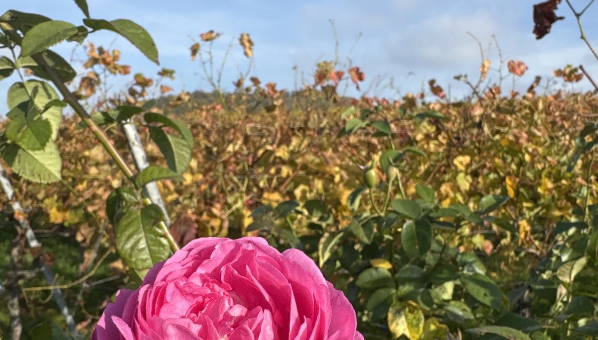 © DAV Yogagruppe; Foto: Burkhard Rott