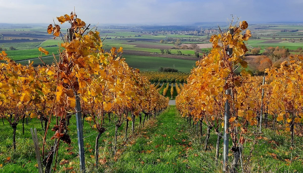 © DAV Yogagruppe; Foto: Heike Stellwag-Flenker