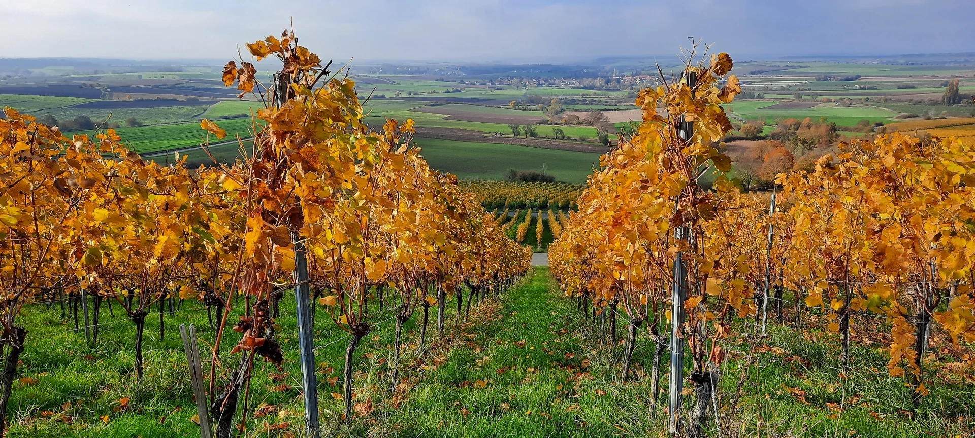 © DAV Yogagruppe; Foto: Heike Stellwag-Flenker