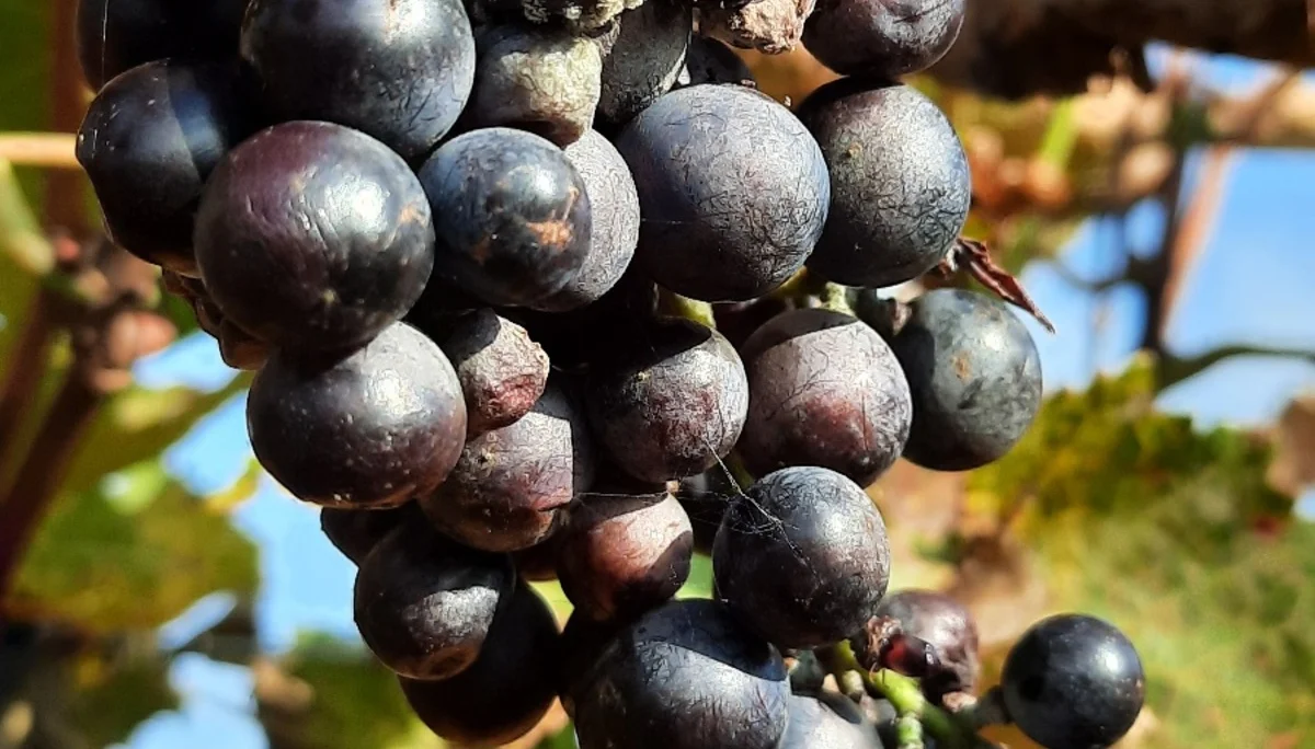 © DAV Yogagruppe; Foto: Heike Stellwag-Flenker