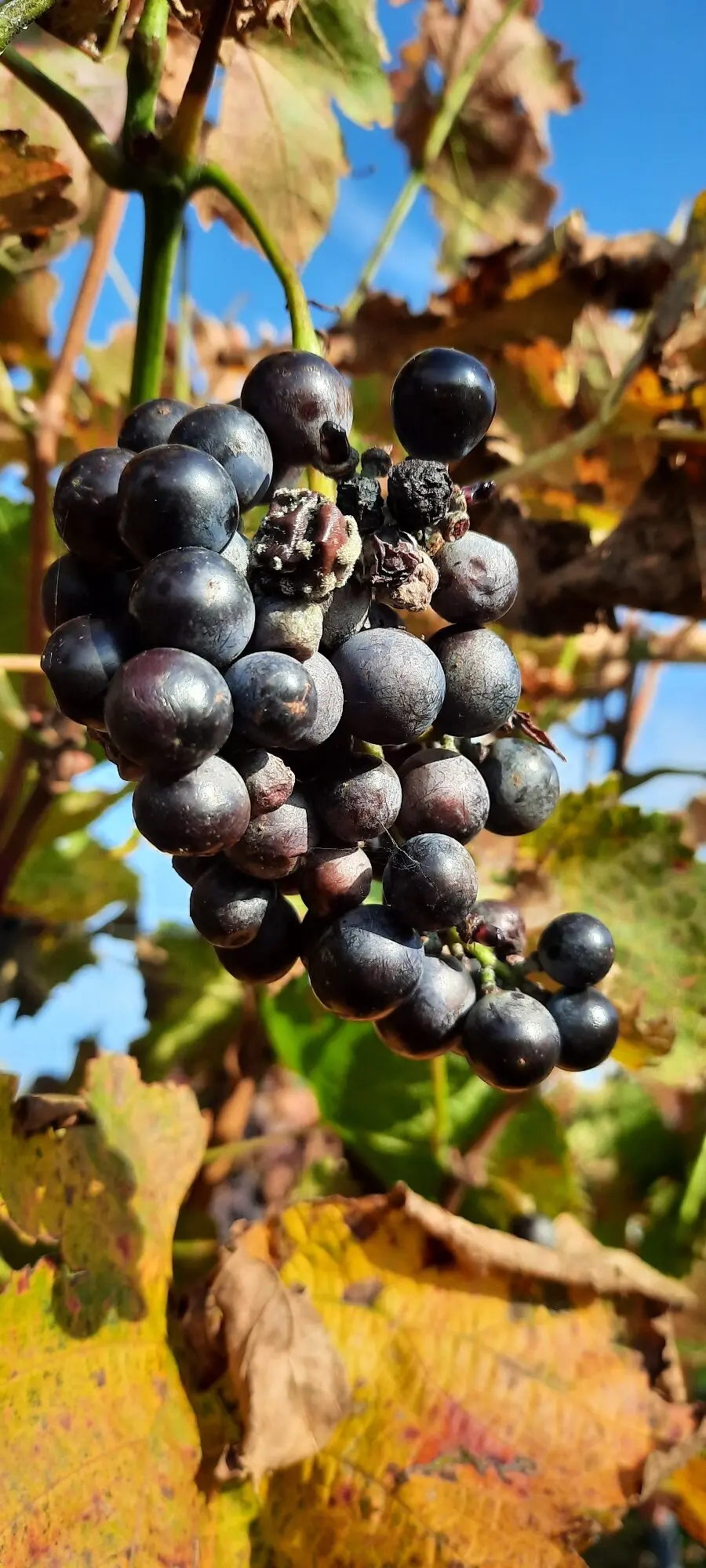 © DAV Yogagruppe; Foto: Heike Stellwag-Flenker