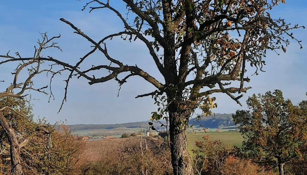 © DAV Yogagruppe; Foto: Heike Stellwag-Flenker