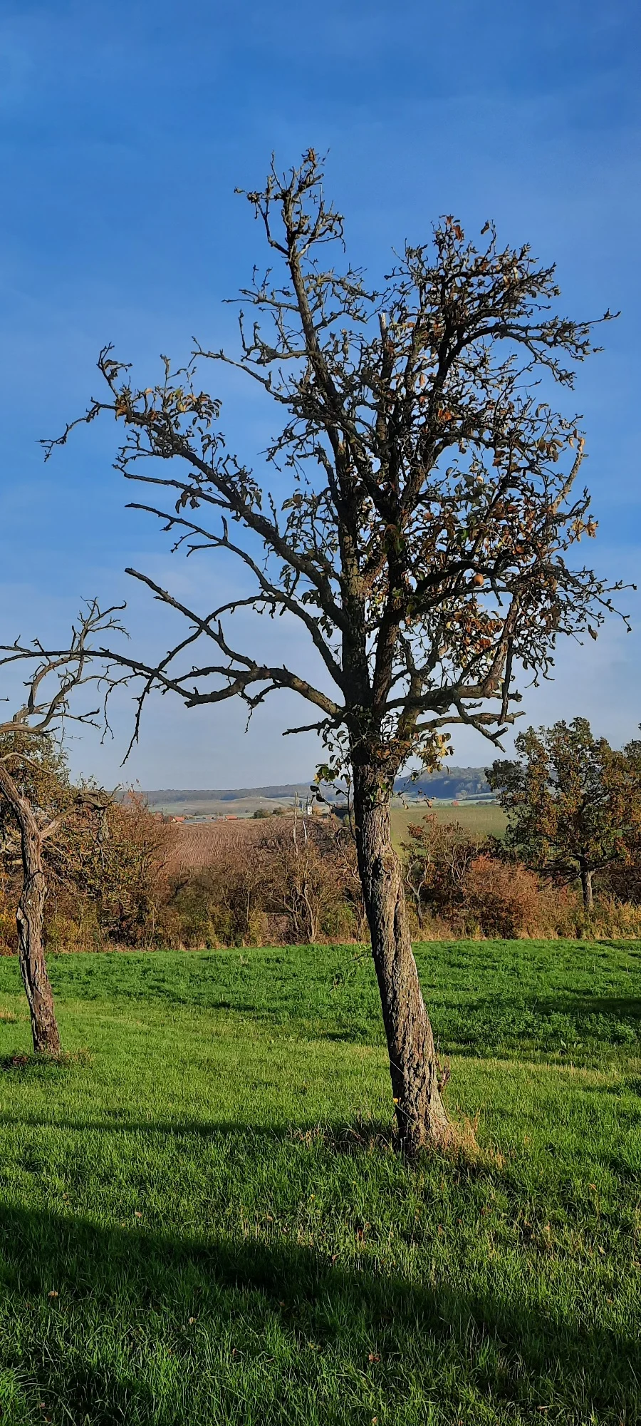 © DAV Yogagruppe; Foto: Heike Stellwag-Flenker