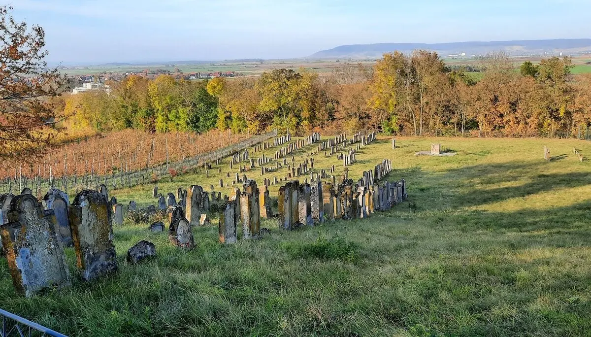 © DAV Yogagruppe; Foto: Heike Stellwag-Flenker
