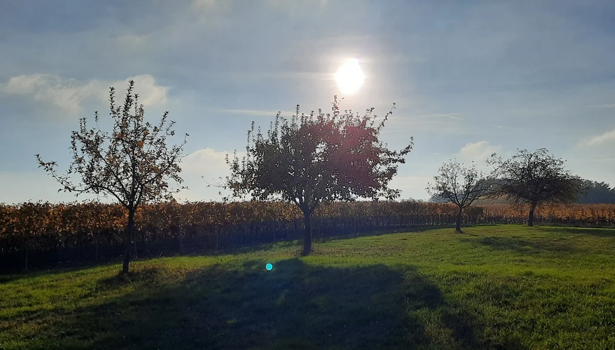 © DAV Yogagruppe; Foto: Heike Stellwag-Flenker