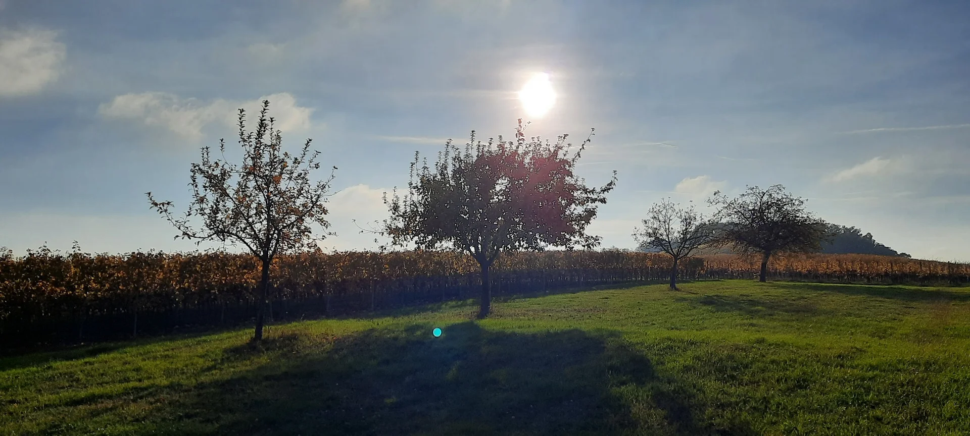 © DAV Yogagruppe; Foto: Heike Stellwag-Flenker