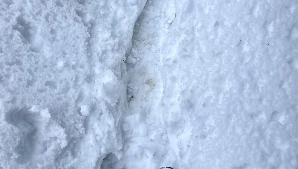 © DAV Fürth, Yoga-Gruppe; Fotograf: Burkhard Rott