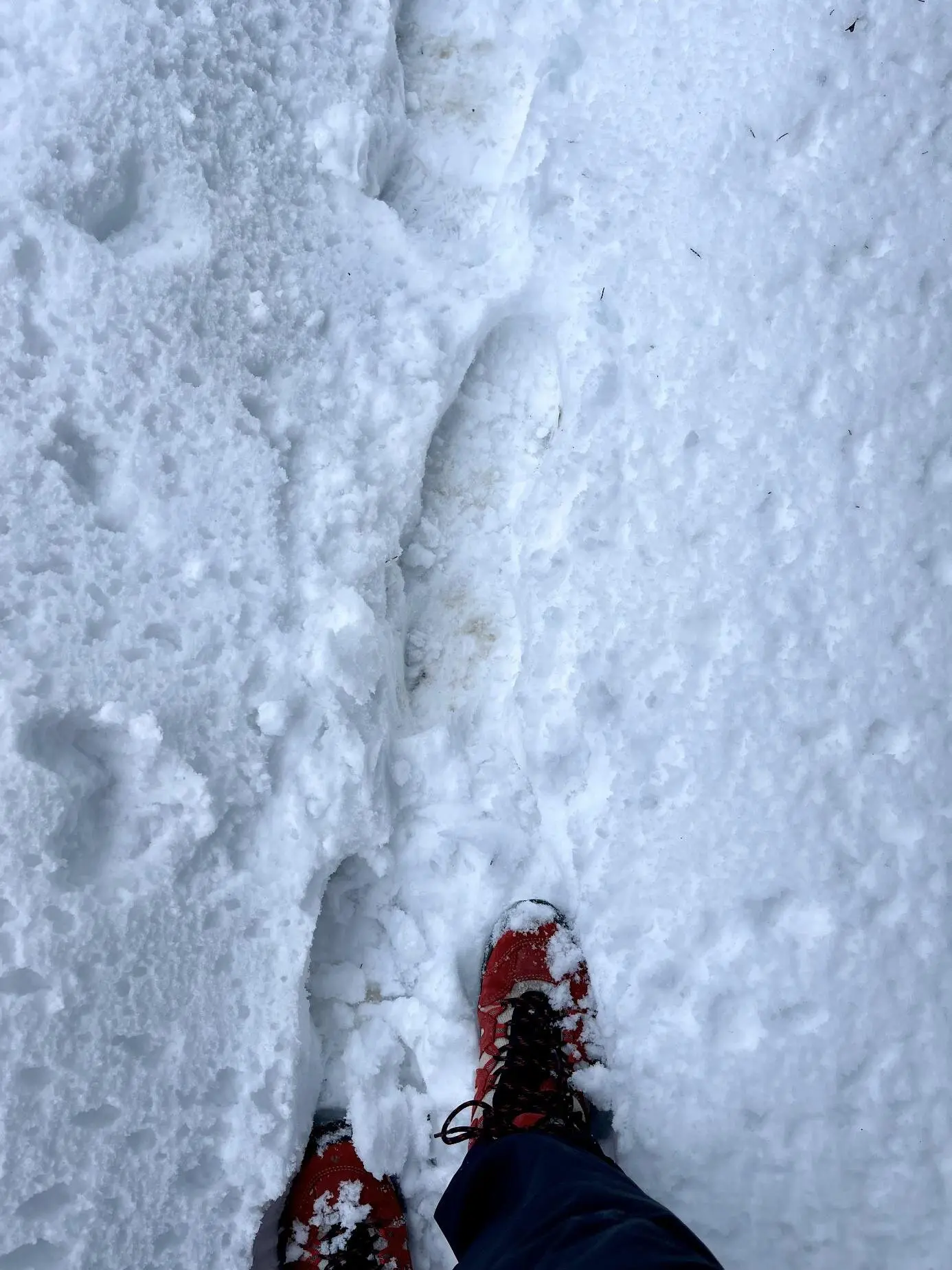 © DAV Fürth, Yoga-Gruppe; Fotograf: Burkhard Rott