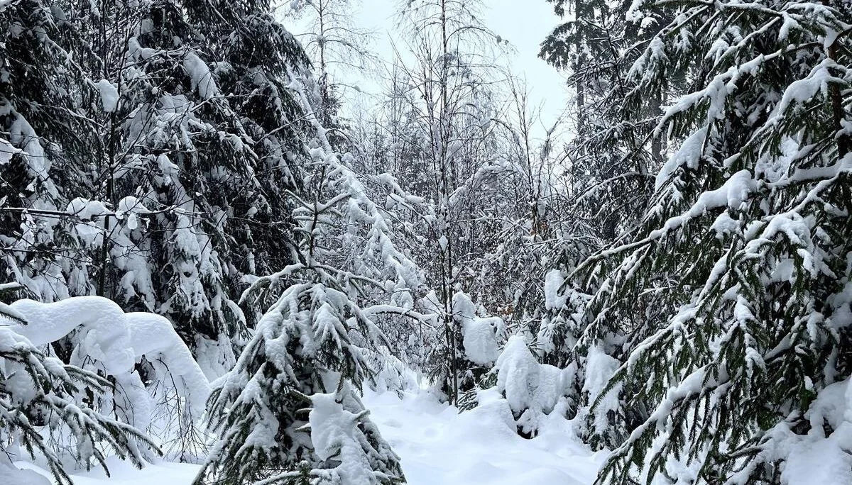 © DAV Fürth, Yoga-Gruppe; Fotograf: Burkhard Rott