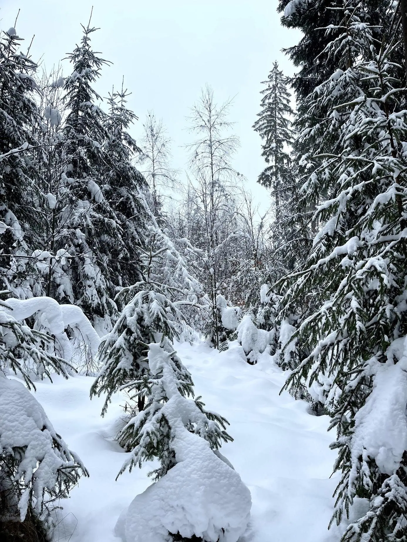 © DAV Fürth, Yoga-Gruppe; Fotograf: Burkhard Rott