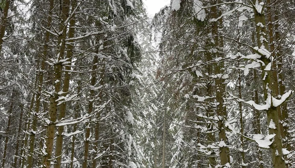 © DAV Fürth, Yoga-Gruppe; Fotograf: Burkhard Rott