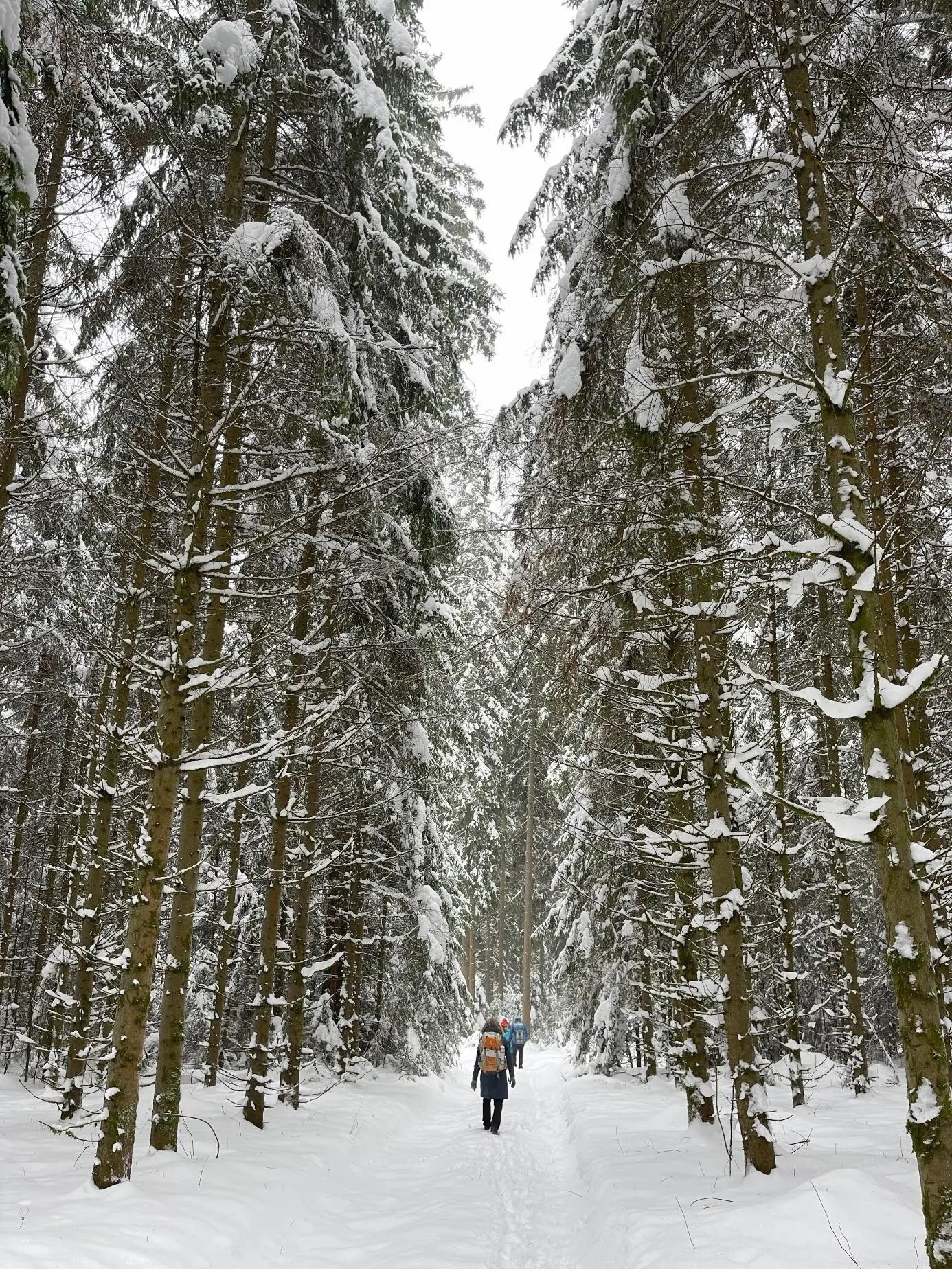 © DAV Fürth, Yoga-Gruppe; Fotograf: Burkhard Rott