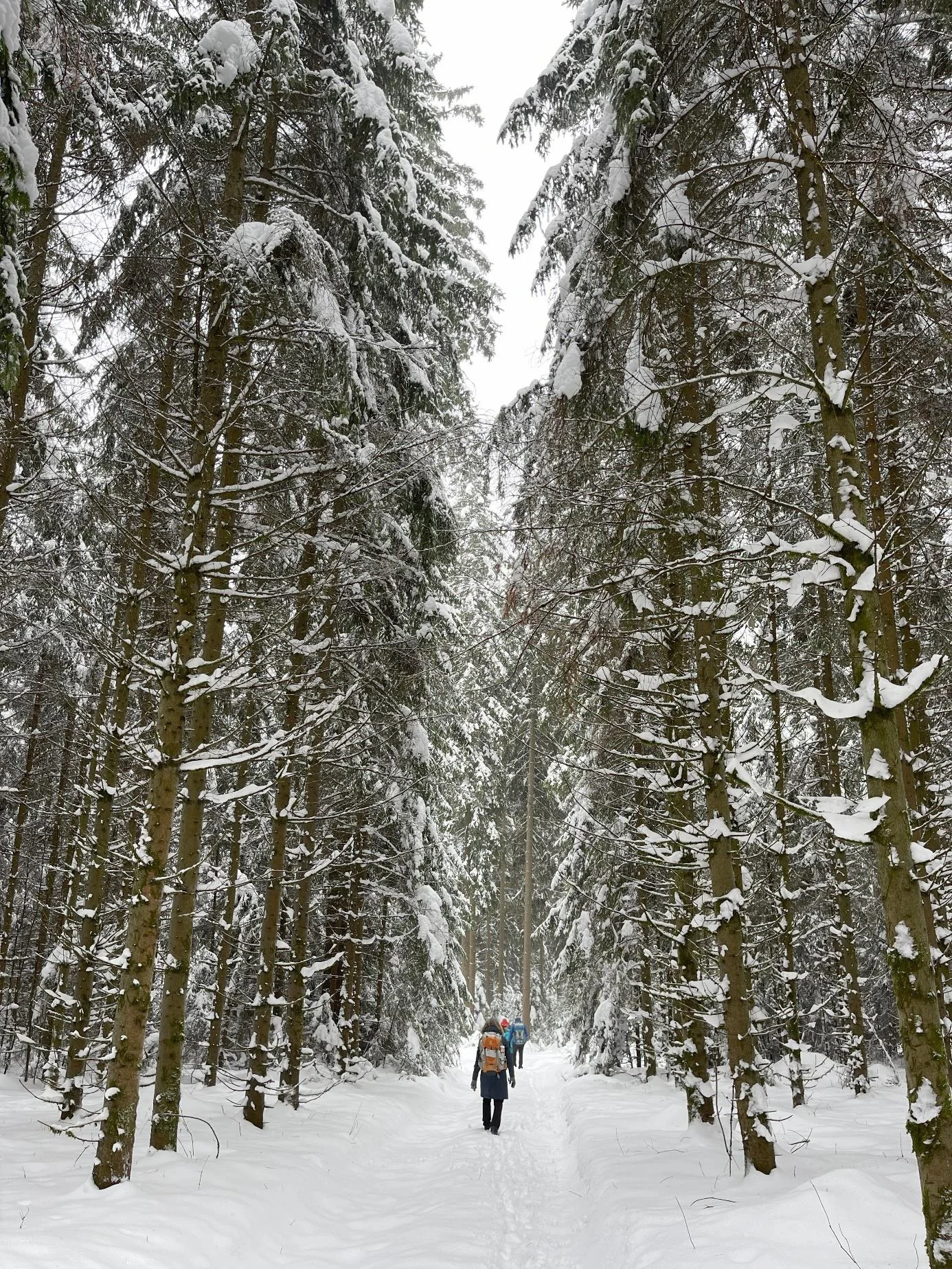 © DAV Fürth, Yoga-Gruppe; Fotograf: Burkhard Rott