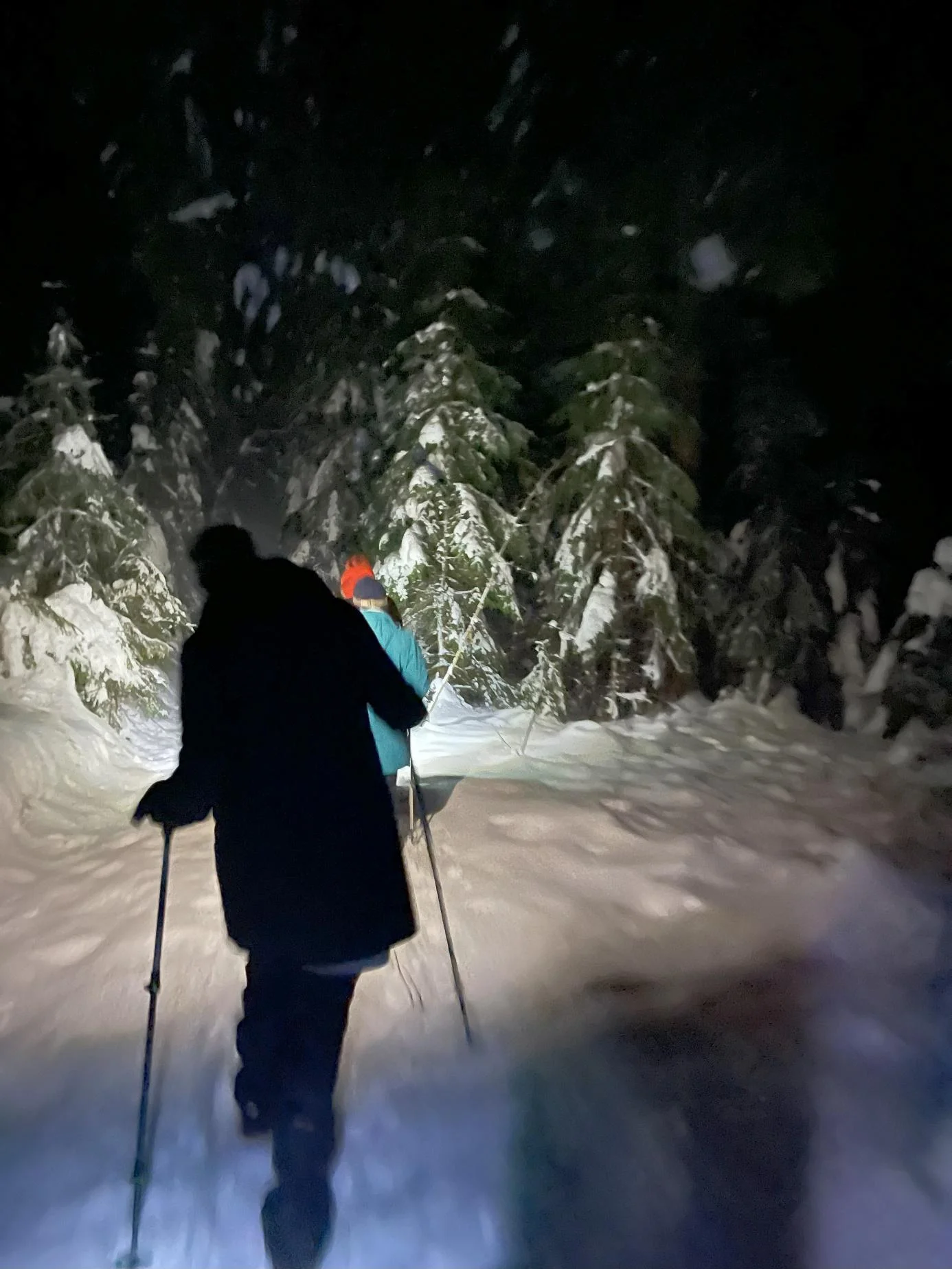 © DAV Fürth, Yoga-Gruppe; Fotograf: Burkhard Rott