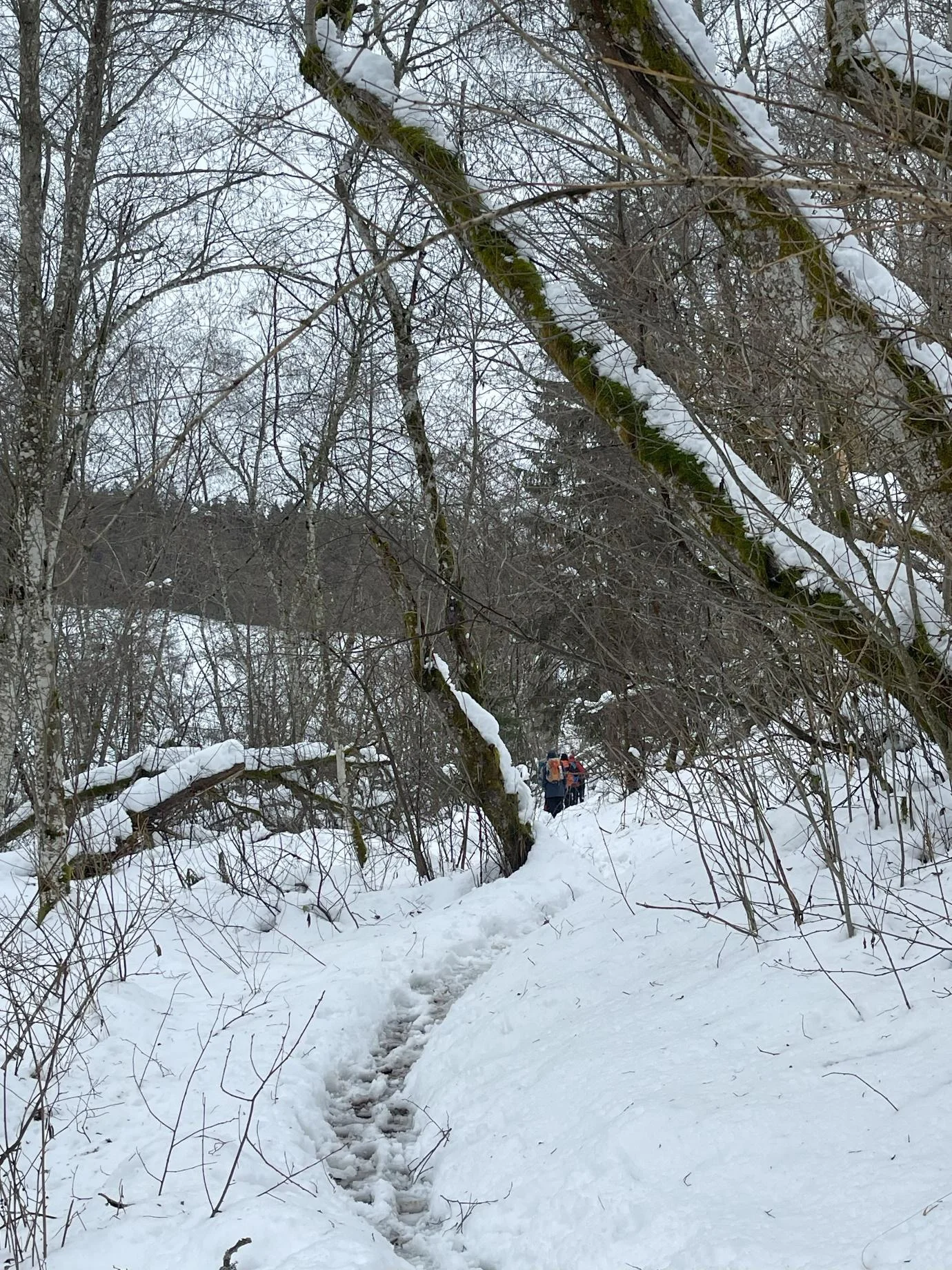 © DAV Fürth, Yoga-Gruppe; Fotograf: Burkhard Rott