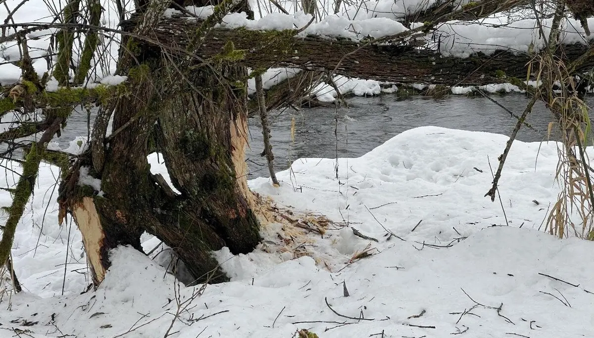 © DAV Fürth, Yoga-Gruppe; Fotograf: Burkhard Rott